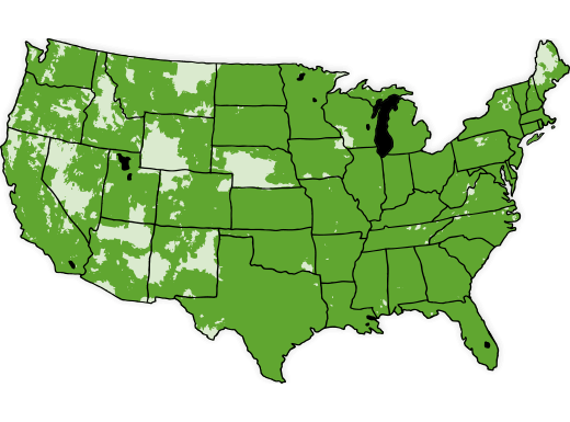 Cricket Wireless Coverage Area Map | Hot Sex Picture